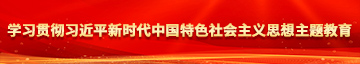 狠狠地操我学习贯彻习近平新时代中国特色社会主义思想主题教育